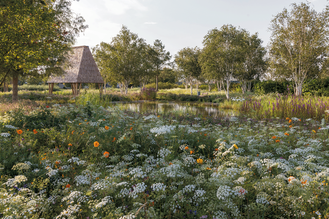 A colourful meadow beside a pond surrounded by trees, with a timber-clad pavilion on the right side of the photo.