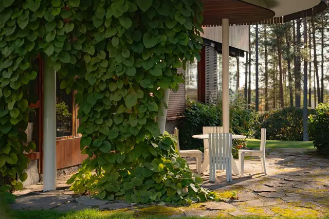 Close-up photo of a stone-paved patio with white wooden furniture