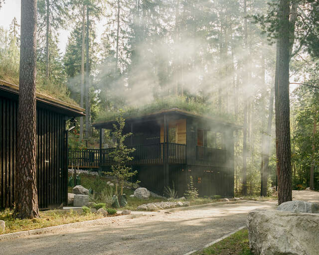 Metsän siimeksessä, auringon syleilyssä, kaksi puista rakennusta viherkattoineen.