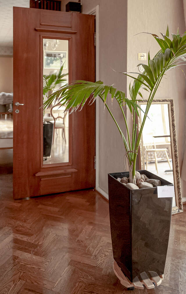 A picture showcasing a wooden door and wooden flooring.