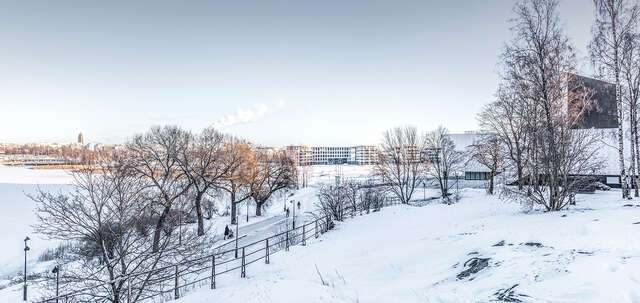 Snowy winter landscape next to the sea.