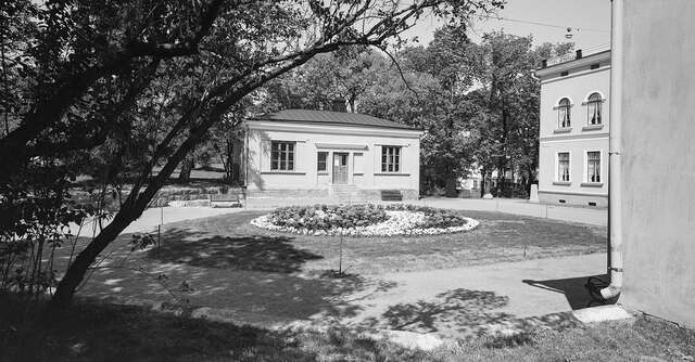 Flowers planted in a circle in a. garden.