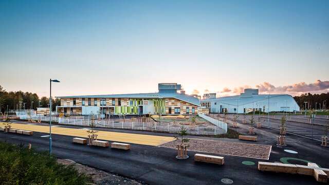 School playground with school in the background, trees to the left and parking lot to the right,