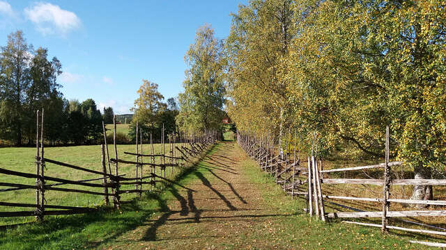 Petäjävesi Old Church yard