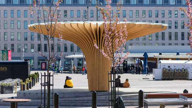 A wooden sculpture in the shape of a chanterelle mushroom in the middle of an open paved area.