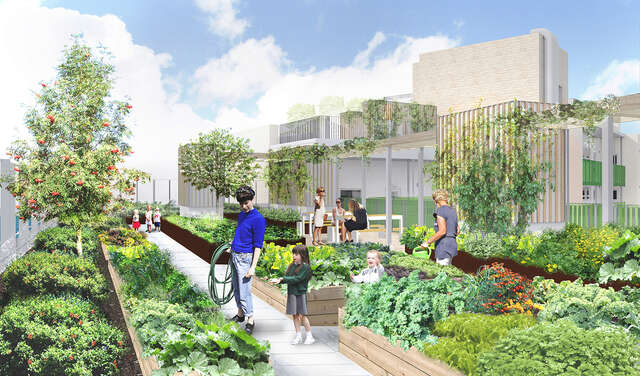 Computer drawing of a public vegetable garden.