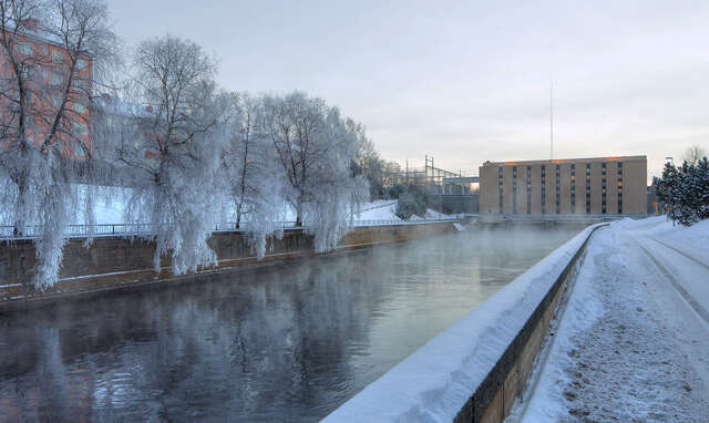 Winter, frosty trees along a canal leading up to a big yellow building
