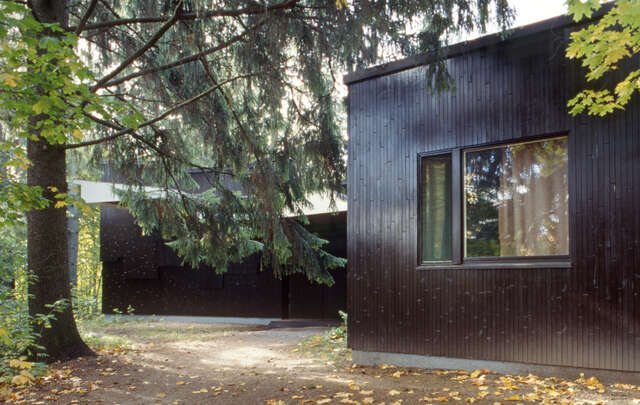 Dark stained wooden façade with window below a spruce