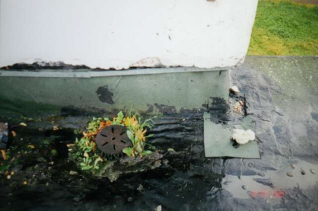 Before image of a library corner with a chipped wall.