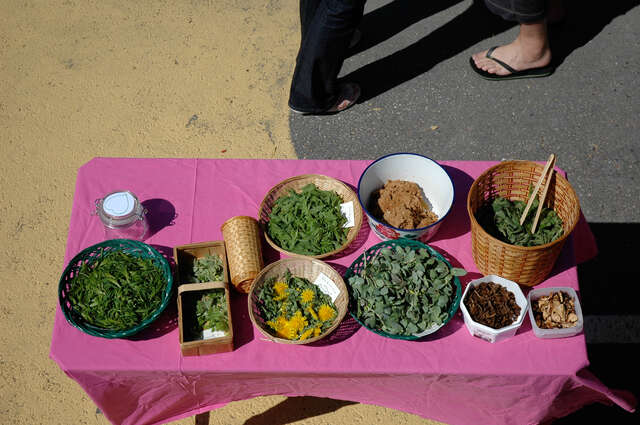 17 - Kalasatama Temporary - Part Architects - photo Part Architects