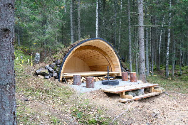A small curvy wooden structure in the middle of a forest