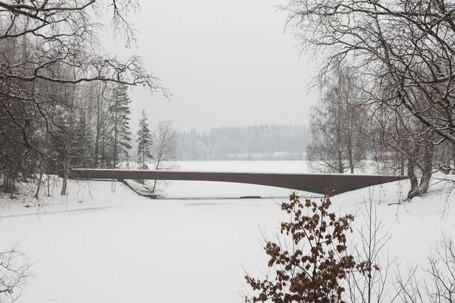 Sleek bridge in a snowy landscape.