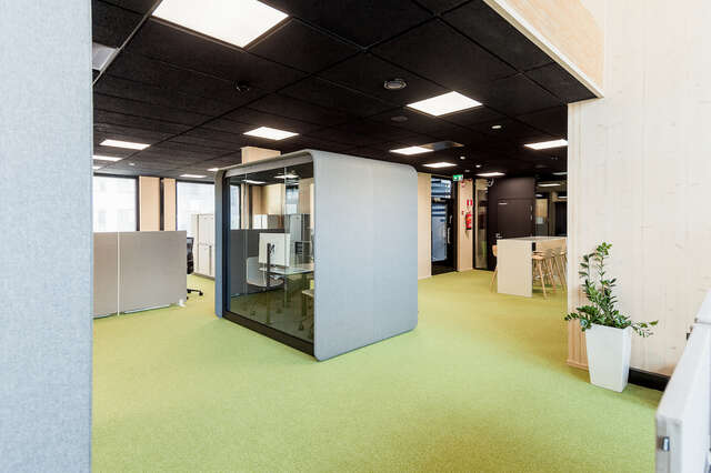 a room with green carpet.