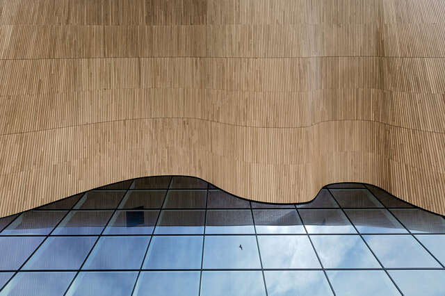 Ondulating wooden ceiling and glazed wall seen from below