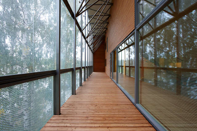 Glazed balcony corridor with wooden floor and wall, view to birches outside