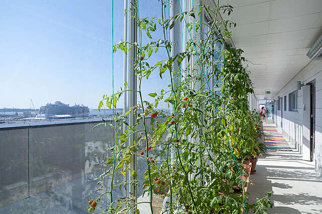 Helsingin Malta Housing Co-Operative