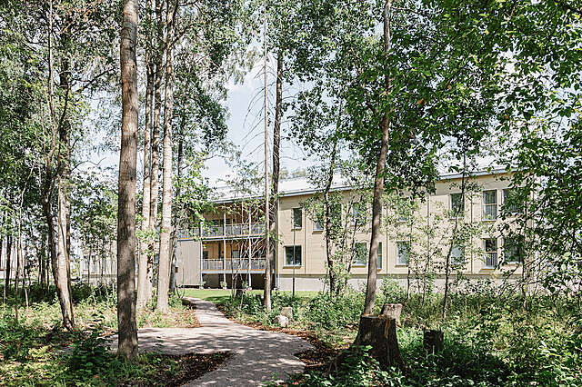Wooden facade surrounded by sunny,airy forest