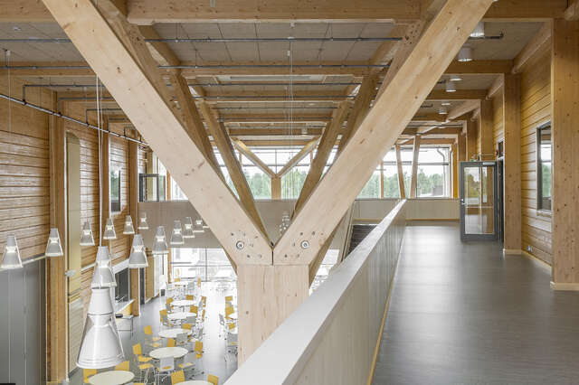 Wooden support columns that branch out at the top.