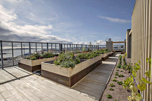 Large planters on a roof.