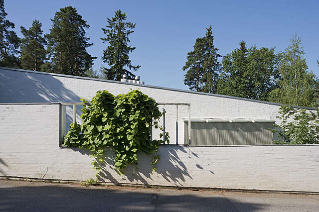Whiet fence with a plant growing above it.