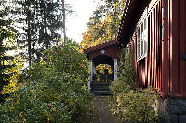 Path leading to the front porch in the middle of a forest.