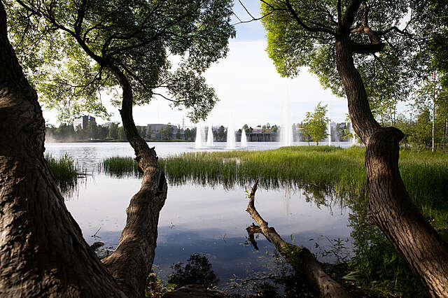 Water mirror and fountains seen from between trees and reeds