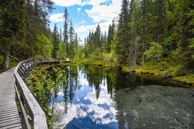 A lake with clear water surrounded by a forest and a wooden walkway.