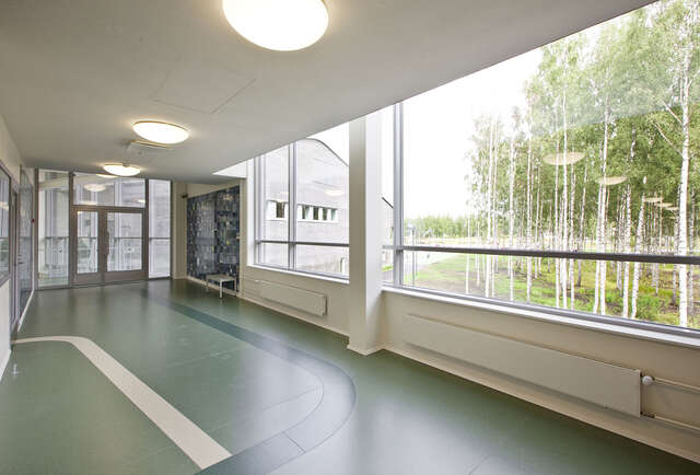 Hallway with large windows showing birch trees outside.