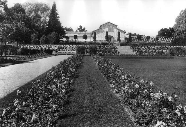 Black and white picture of a well cared for garden.