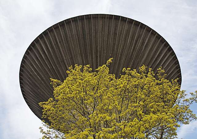 Tank from the downside with foldings behind a tree