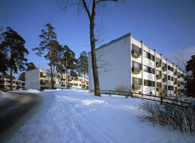 Snowy road leading to two apartment blocks divided by a yard and pines