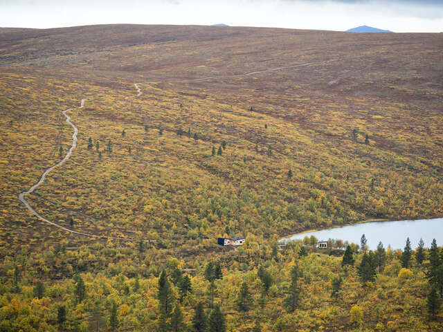 A small hut in a vast forest area