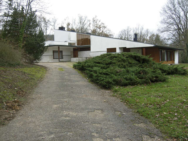 Paved road to the villa with wooden details and lean-to roof
