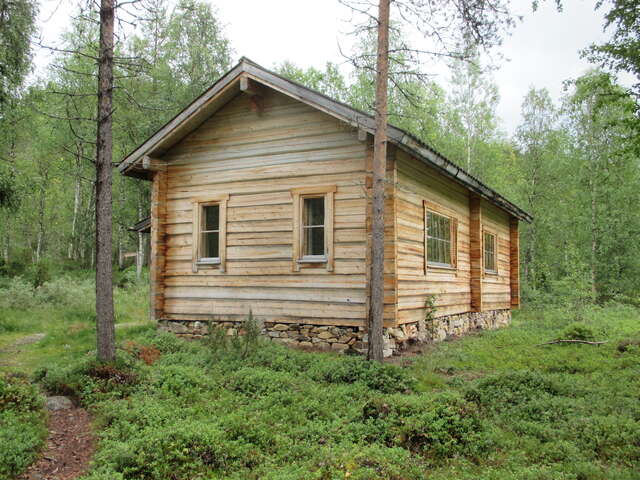 A wooden hut in the middle of a forest.