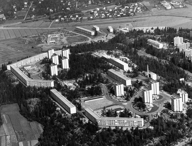 Black and white aerial picture