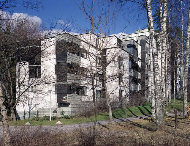 Black, white and grey building facade seen from between birch trees.