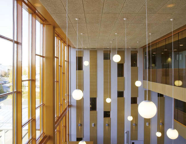 Tervaväylä School 4