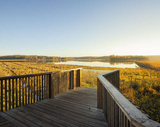 Boardwalk's vantage point