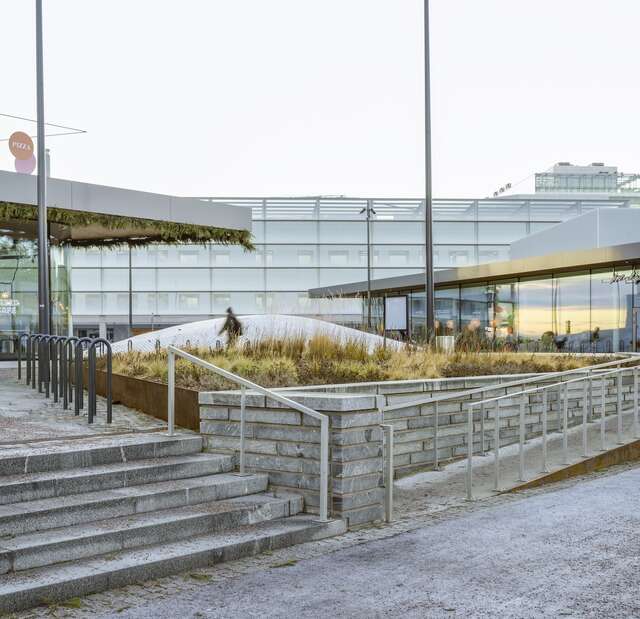 A small set of stone steps.