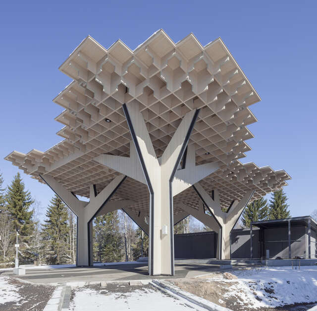 Wooden, mushroom-like canopy structure
