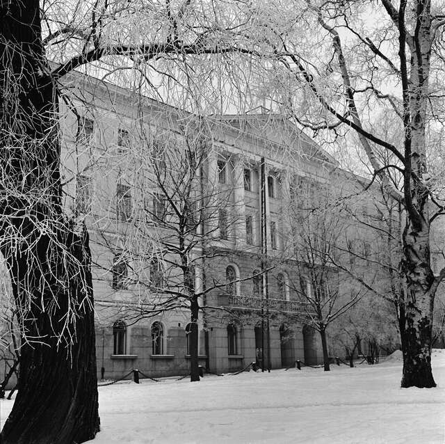 Senate Palace behind frozen trees.
