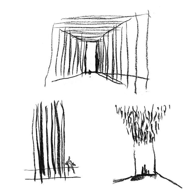 soft pencil drawings