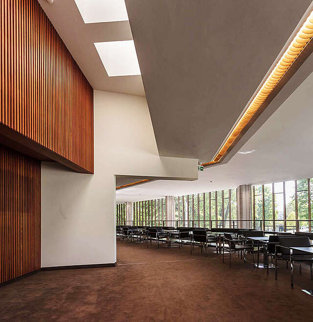 Interior with brown carpet floor, a wooden all and a window wall at the right.
