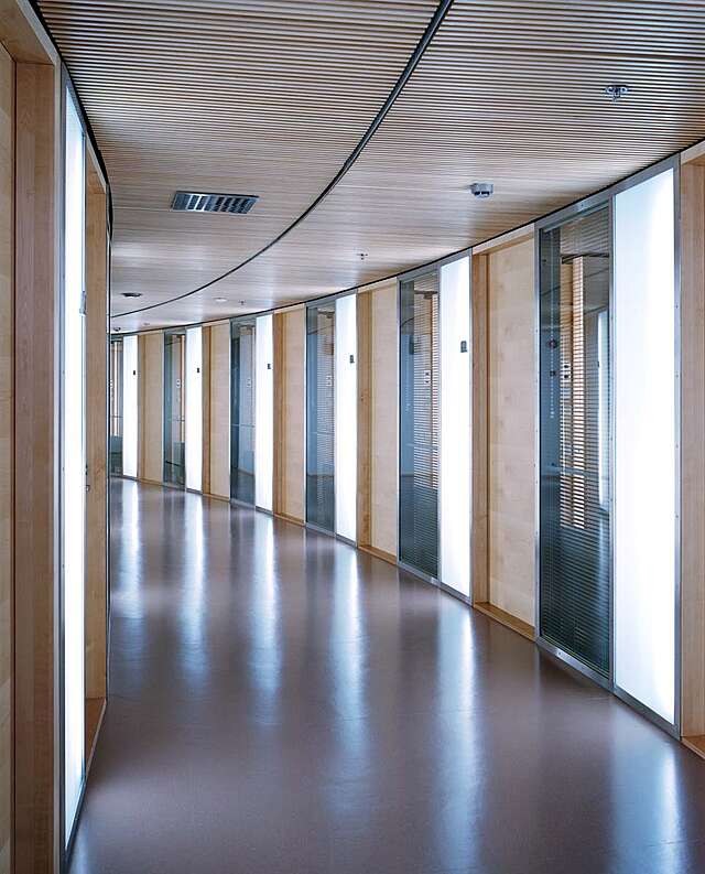 Hallway with wood, glass and light elements.