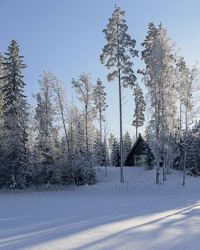 Lots of snow, a pitched roof of a dark-coloured building in the rear