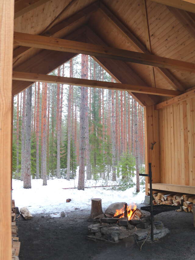View of a snowy forest