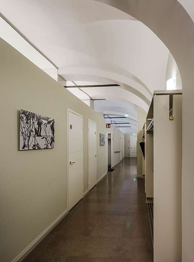 Modern hallway with a groin vault ceiling and wardrobes.