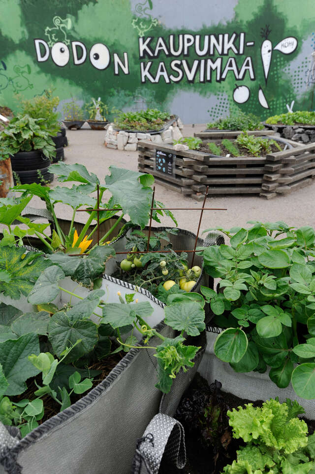 16 - Kalasatama Temporary - Part Architects - photo Part Architects