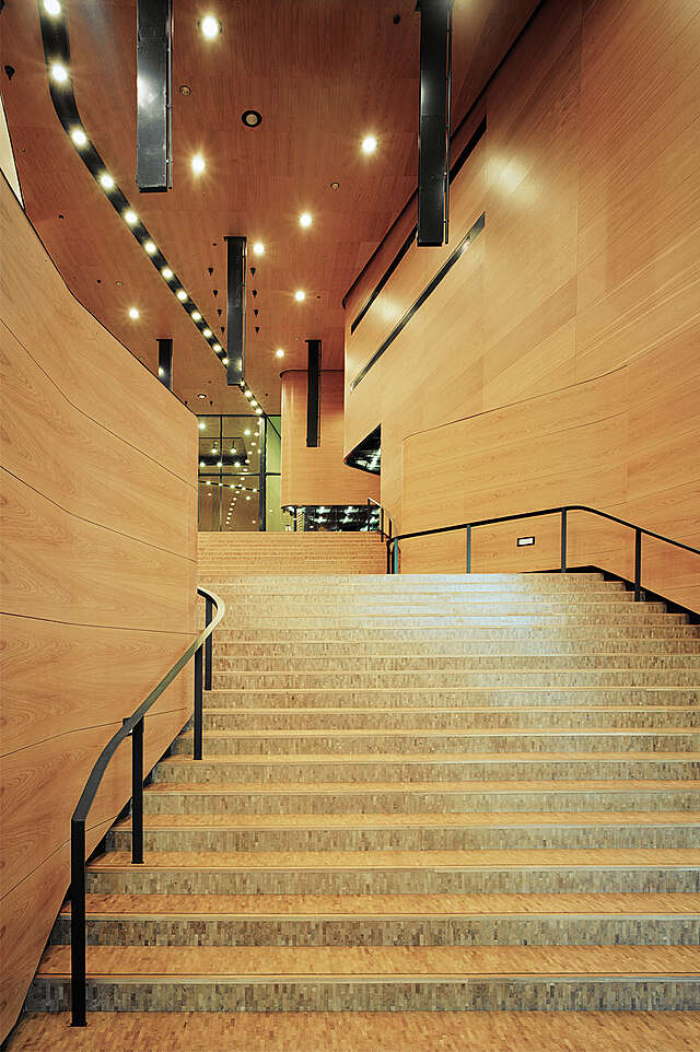 Stairway to a wooden space.